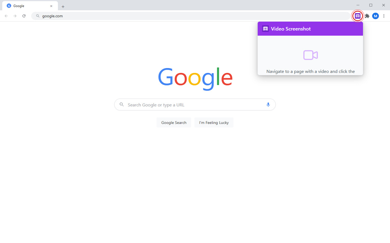 Video Screenshot Online popup